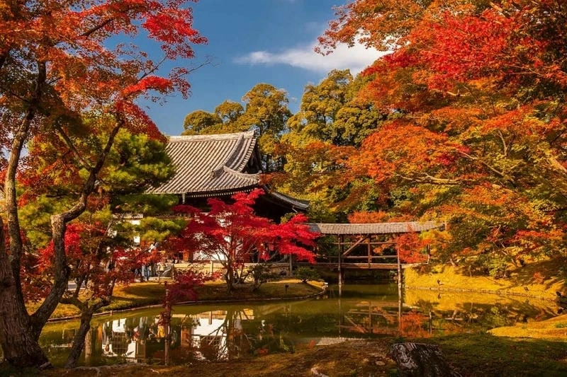 Những điểm ngắm mùa thu lá đỏ Kyoto lý tưởng cho chuyến đi của bạn