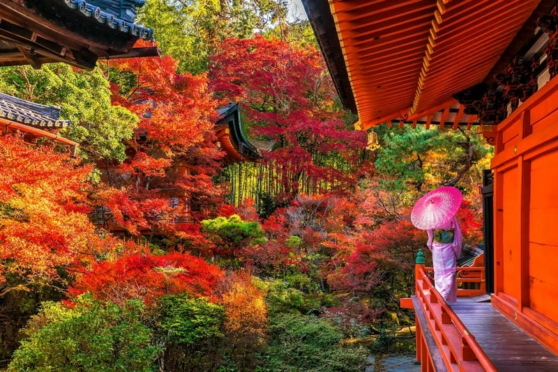 Trải nghiệm đáng nhớ cùng mùa thu lá đỏ Kyoto là một kỷ niệm không thể quên