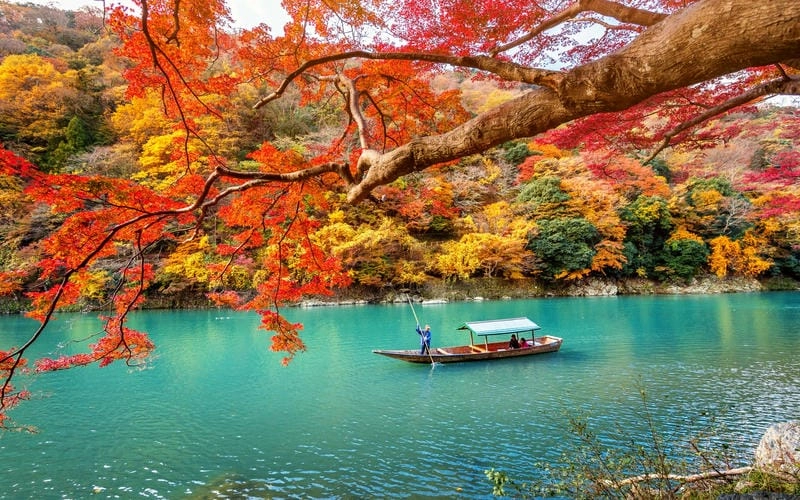 Mùa thu Nhật Bản ngập tràn sắc lá đỏ