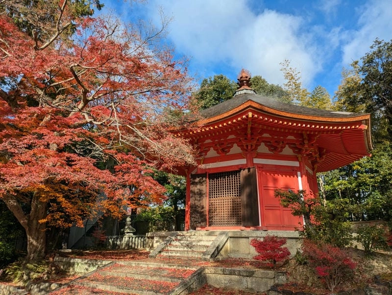 Đền Tofukuji lá đỏ đẹp ngỡ ngàng