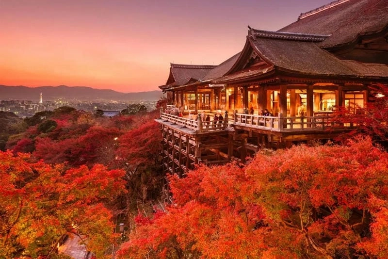 Kyoto thơ mộng với sắc lá đỏ rực rỡ
