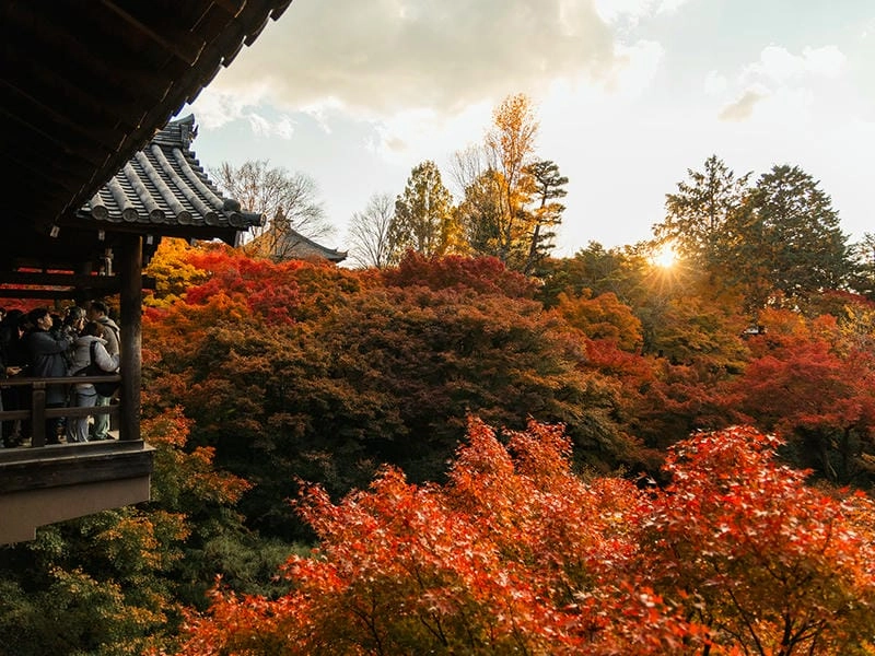 Bình minh lá đỏ ở Kyoto đẹp đến nao lòng