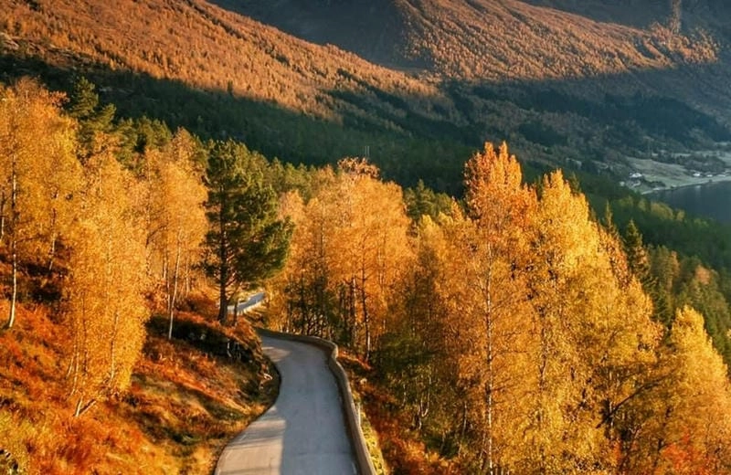 Ảnh lá đỏ Oslo đẹp như tranh vẽ