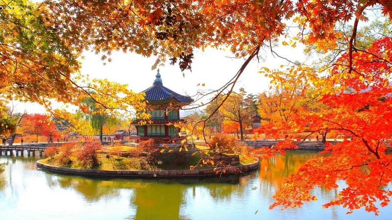 Trải nghiệm đáng nhớ cùng mùa thu lá đỏ Quebec là một kỷ niệm không thể quên