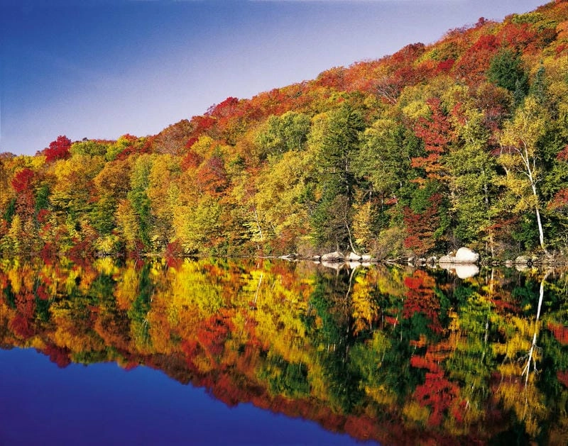 Mùa thu Canada ngập tràn sắc lá đỏ