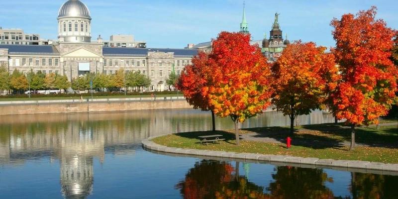 Công viên Montmorency lá đỏ đẹp ngỡ ngàng