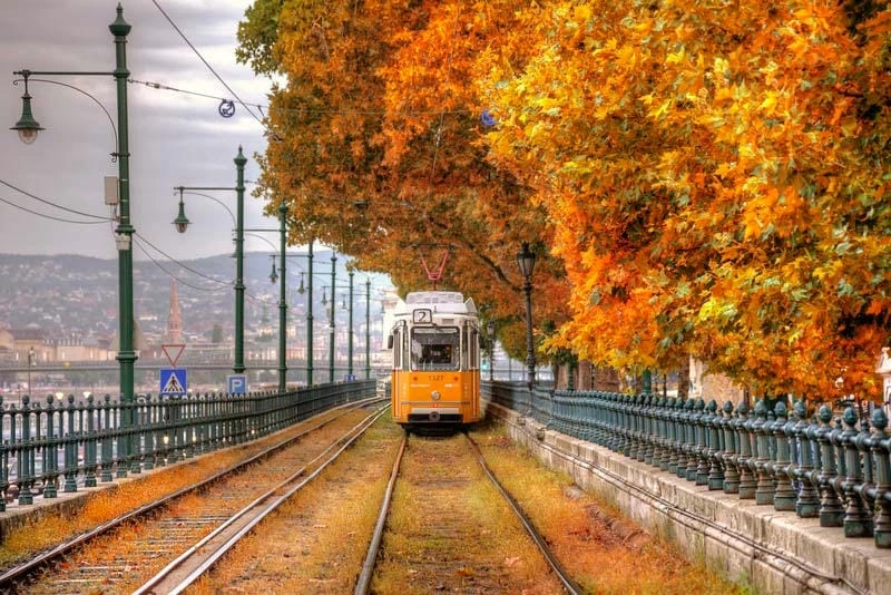Điểm ngắm mùa thu lá vàng Budapest lý tưởng