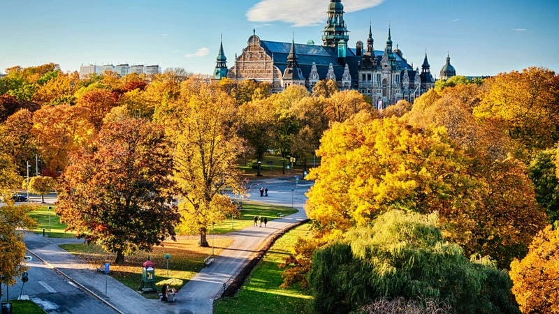 Đường mòn lá vàng trải dài lãng mạn