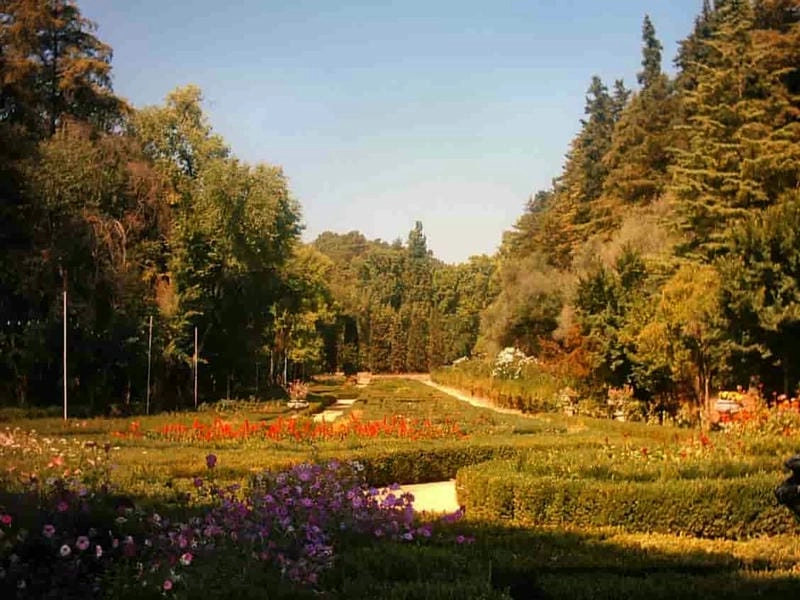 Mùa thu Bồ Đào Nha ngập tràn sắc vàng