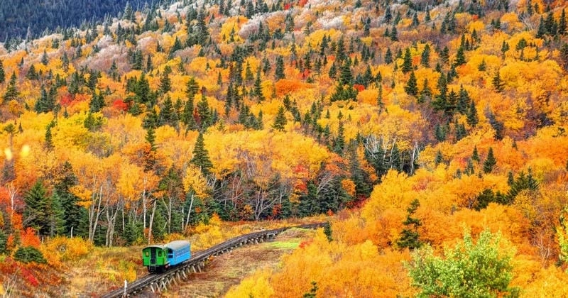 Lisbon thơ mộng với sắc lá vàng