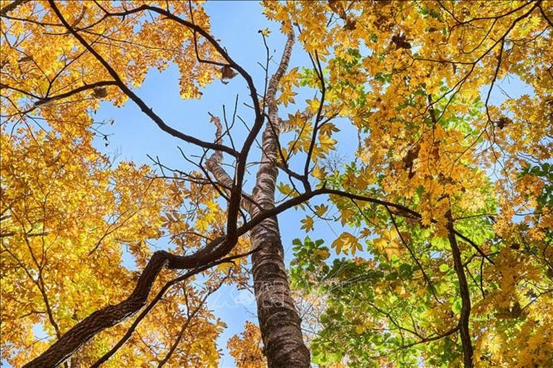 Góc nhìn nên thơ từ đồi núi mùa thu hùng vĩ