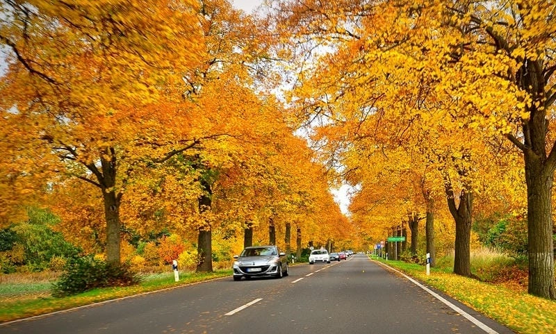Trải nghiệm đáng nhớ cùng mùa thu lá vàng Moscow là một kỷ niệm không thể quên