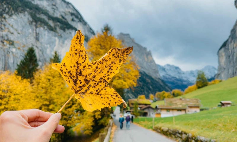 Những địa điểm ngắm mùa thu lá vàng New England lý tưởng cho chuyến đi của bạn