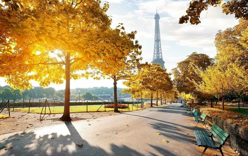 Trải nghiệm đáng nhớ cùng mùa thu lá vàng Paris là một kỷ niệm không thể quên