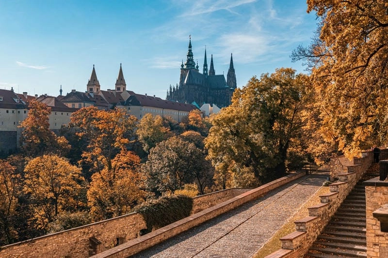 Lá vàng rực rỡ báo hiệu mùa thu đã về