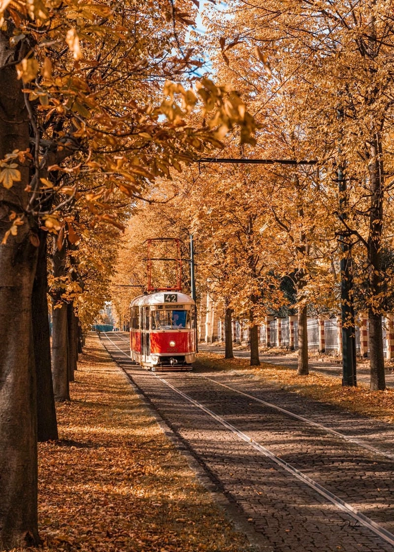 Những địa điểm ngắm lá vàng Prague vô cùng lí tưởng