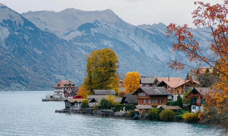 Vẻ đẹp lãng mạn của mùa thu lá vàng Thụy Sĩ khiến lòng người xao xuyến