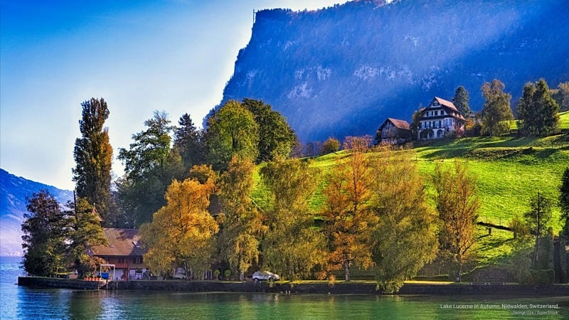 Hồ Lucerne lá vàng đẹp ngỡ ngàng