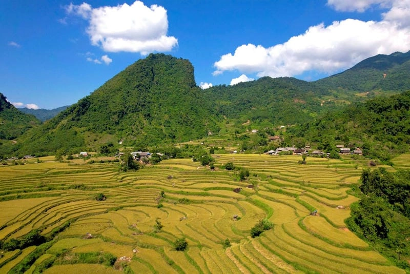 Khám phá lý do thu hút du khách mùa lúa chín Bắc Kạn