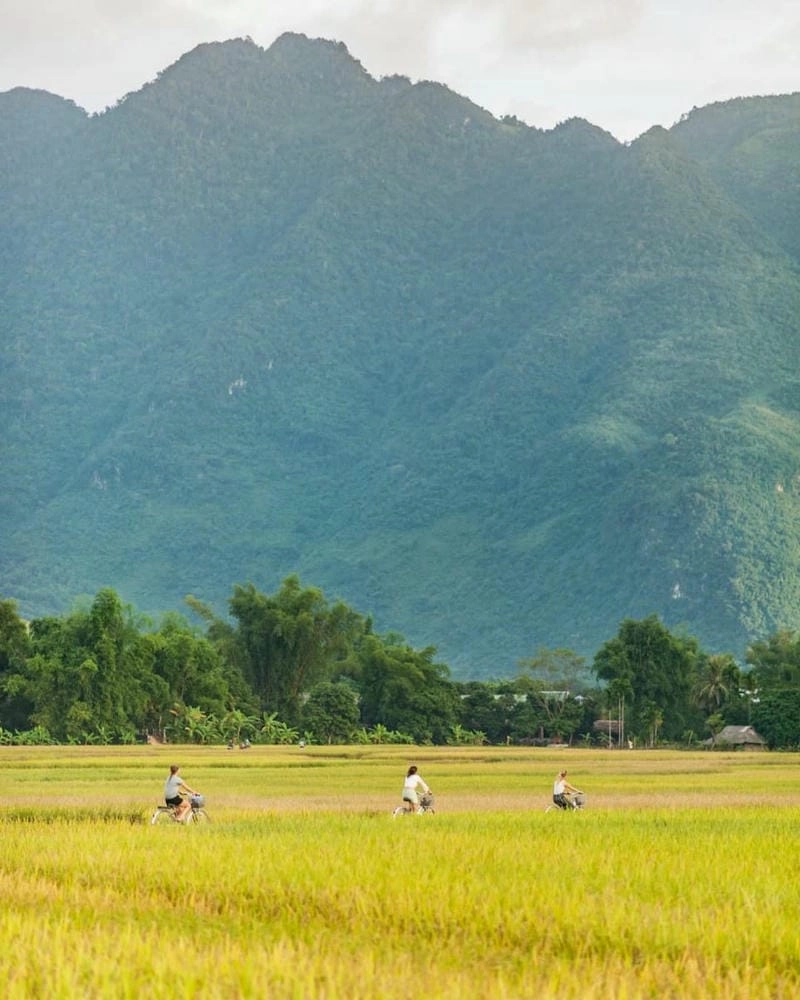 Mai Châu thơ mộng cùng mùa lúa chín làm say lòng người