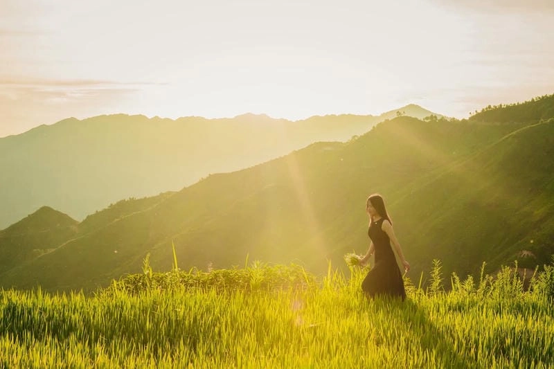 Mùa thu lúa chín Sơn La thu hút du khách phương xa