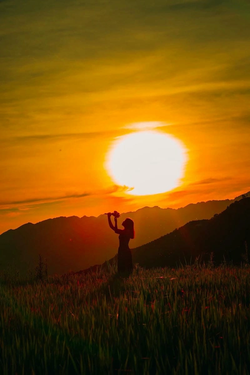 Bình minh lúa chín Sơn La rực rỡ trong ánh nắng