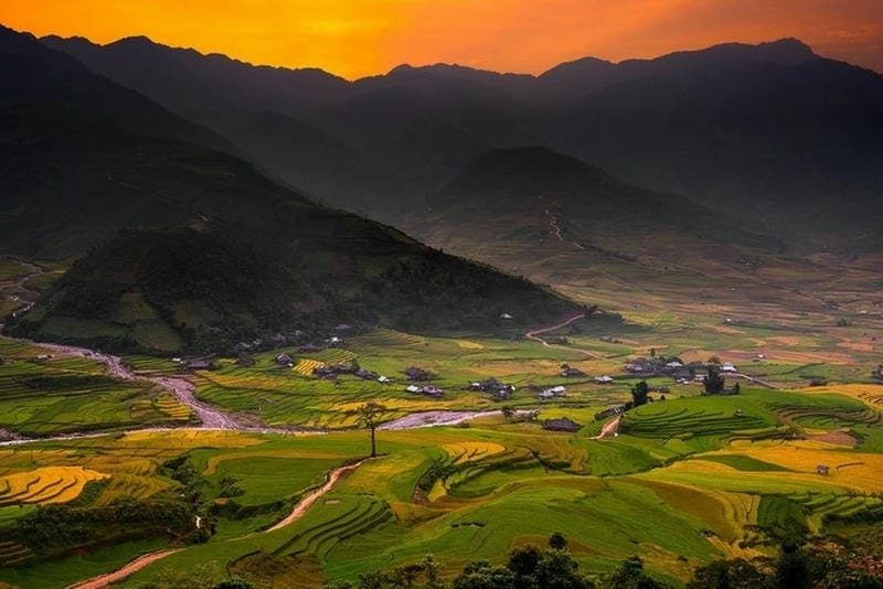 Hoàng hôn Sơn La nhuộm vàng ruộng lúa thơ mộng