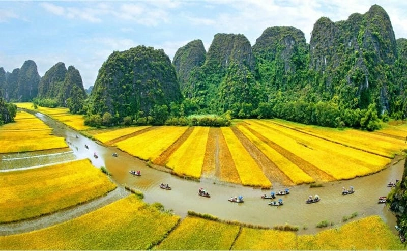 Lên lịch ngay thời điểm lý tưởng để đến Tam Cốc mùa lúa chín