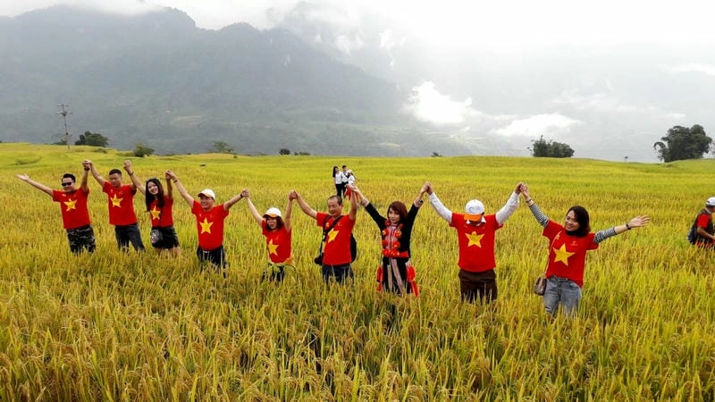 Lúa vàng Tuyên Quang mùa thu đẹp nao lòng