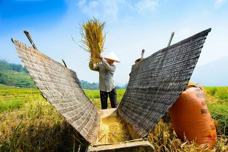 Mùa thu Tuyên Quang nhẹ nhàng đầy thơ mộng