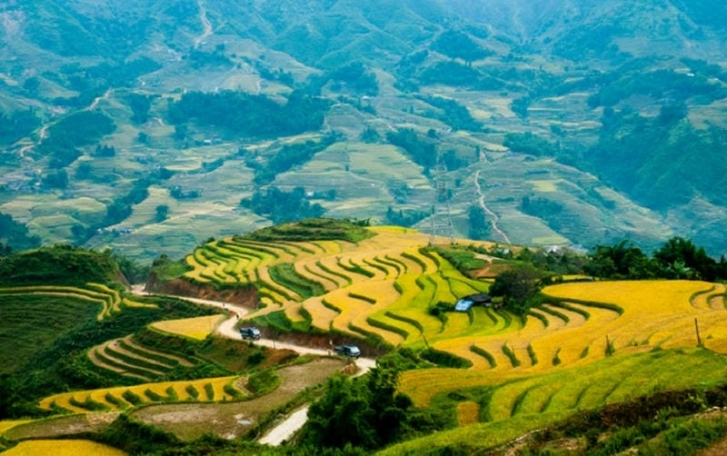 Ruộng lúa Tuyên Quang mùa thu đẹp ngất ngây