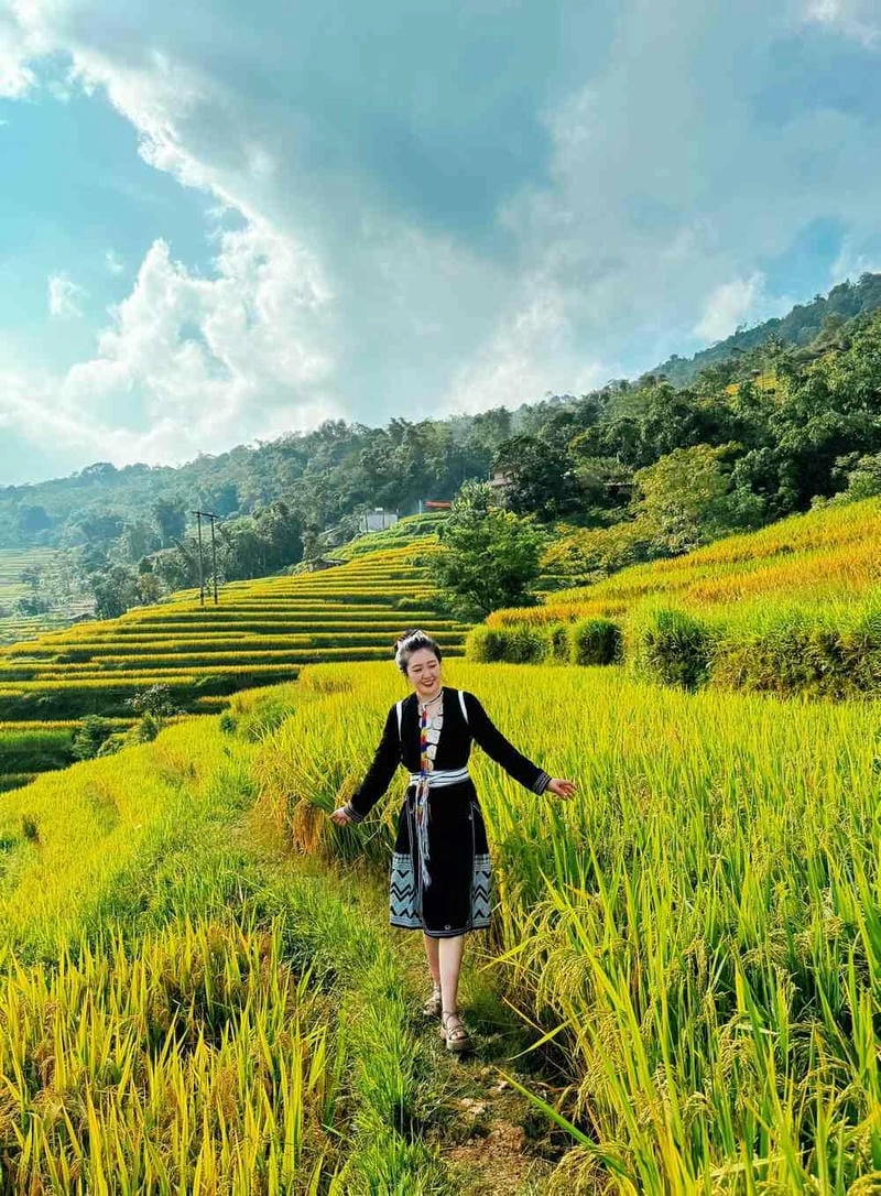 Bản làng Tuyên Quang mùa thu lúa chín tuyệt