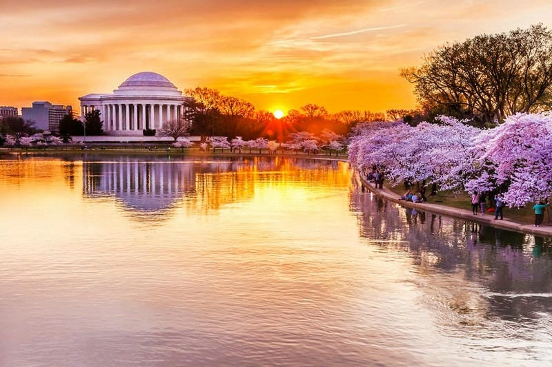 Bình minh Tidal Basin đẹp đến nao lòng