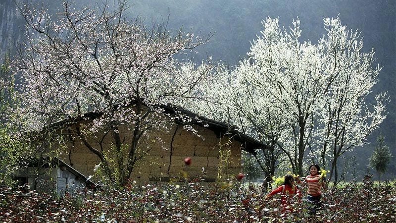 Thả hồn theo nét Điện Biên thơ mộng dịu dàng