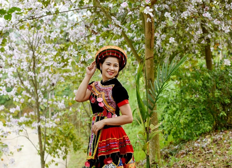 Trải nghiệm mùa xuân hoa ban Tuyên Quang đầy cảm xúc