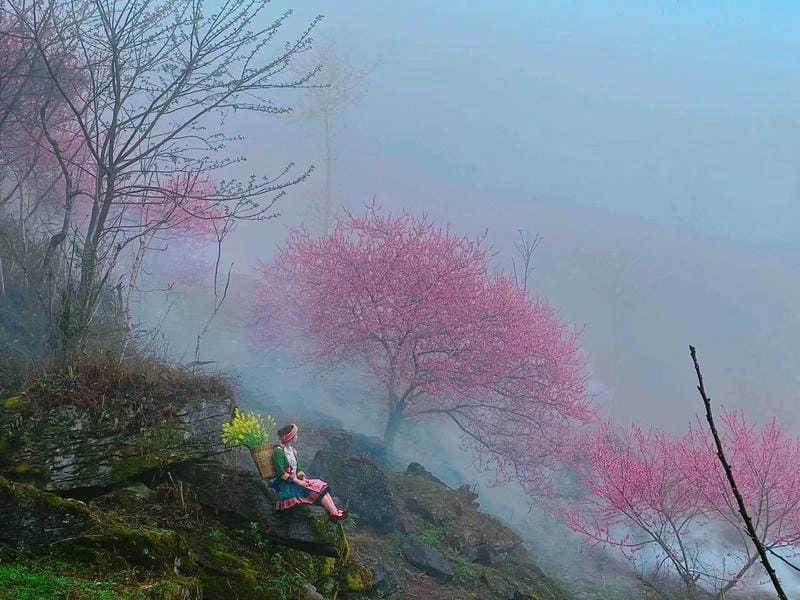 Điểm hẹn lý tưởng Sapa thơ mộng