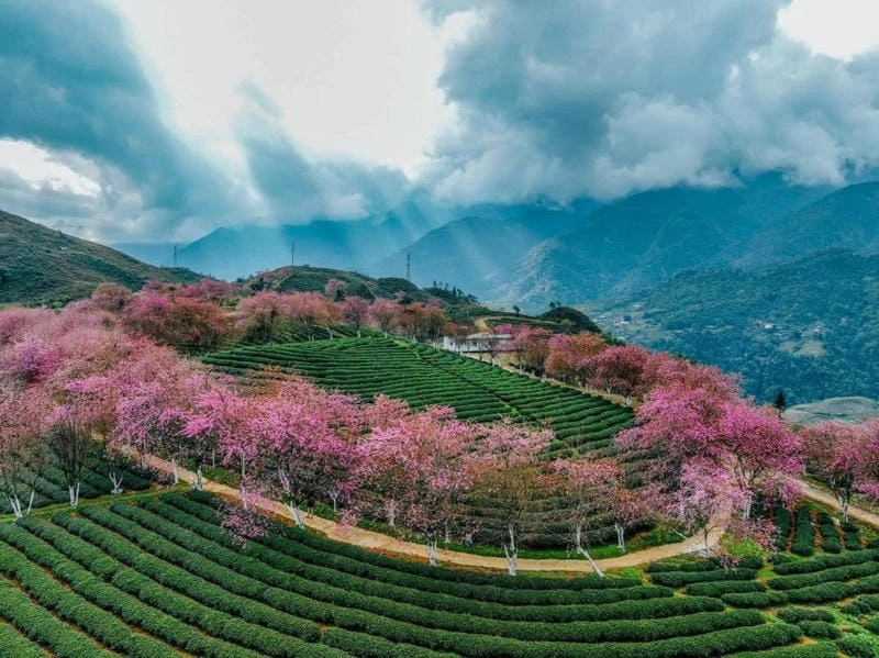 Rộn ràng các hoạt động không thể bỏ lỡ khi đến Sapa