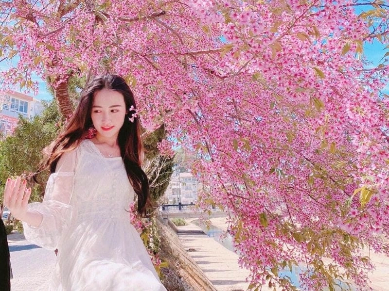 Khoảnh khắc lãng mạn giữa mùa xuân Đà Lạt