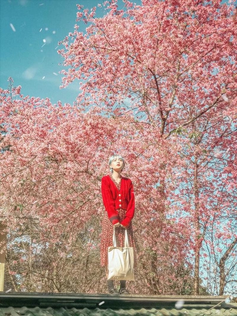 Say đắm khung cảnh hoàng hôn Đà Lạt mơ màng