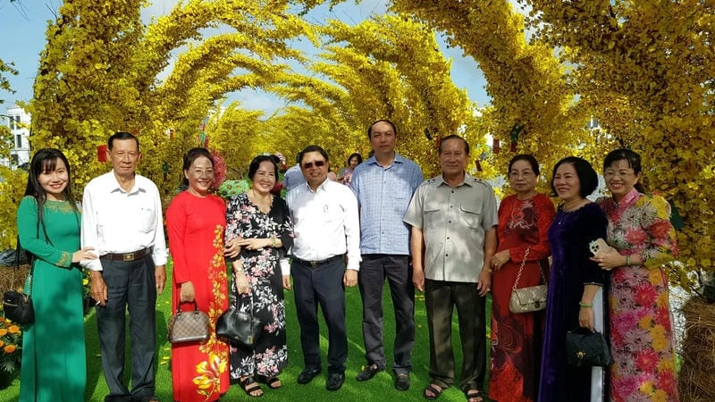 Hoa mai nở rộ Kiên Giang phủ vàng rực rỡ đất trời