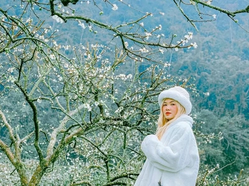 Sắc trắng phủ khắp núi rừng báo hiệu mùa xuân về