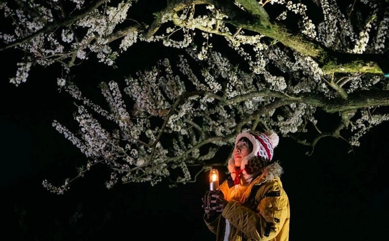 Mùa xuân về đêm ở Lào Cai tràn ngập ánh đèn lung linh