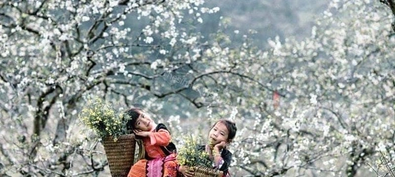 Thả hồn vào hoàng hôn Sapa giữa núi rừng