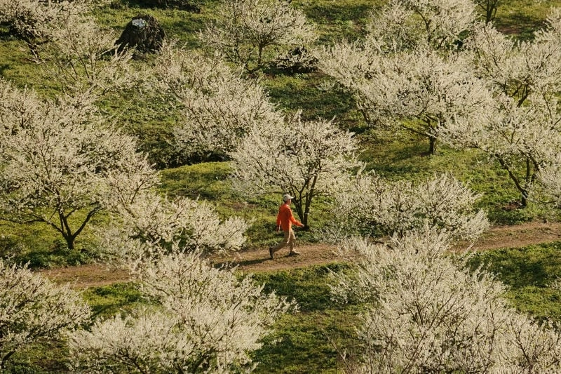 Lưu giữ vẻ đẹp Sapa thơ mộng trong tim