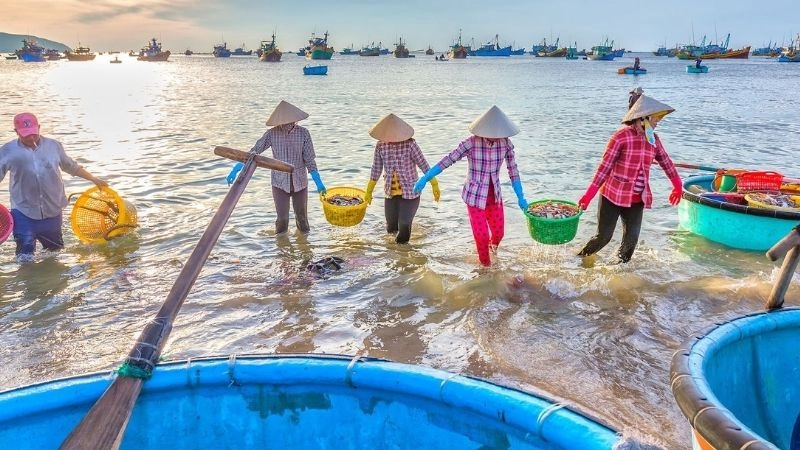 Kinh nghiệm tận hưởng Mũi Né trọn vẹn