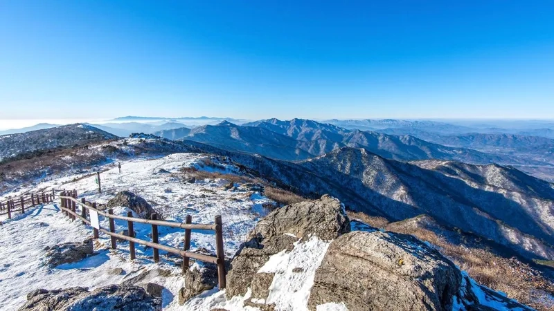 Lịch sử hình thành và phát triển của Muju