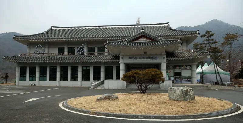 Tận hưởng không khí trong lành tại Muju