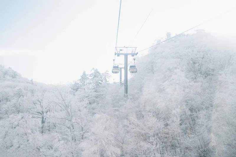 Muju mang đến trải nghiệm du lịch khó quên