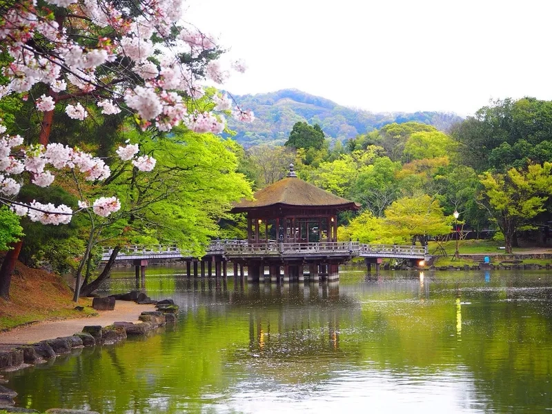 Đền chùa ở Nara mang đậm nét kiến trúc cổ