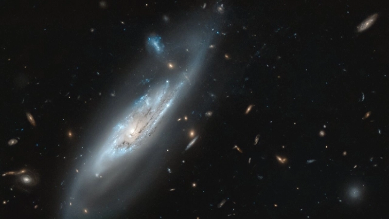 Vai trò của các cánh tay xoắn đối với sự phát triển của Ngân Hà